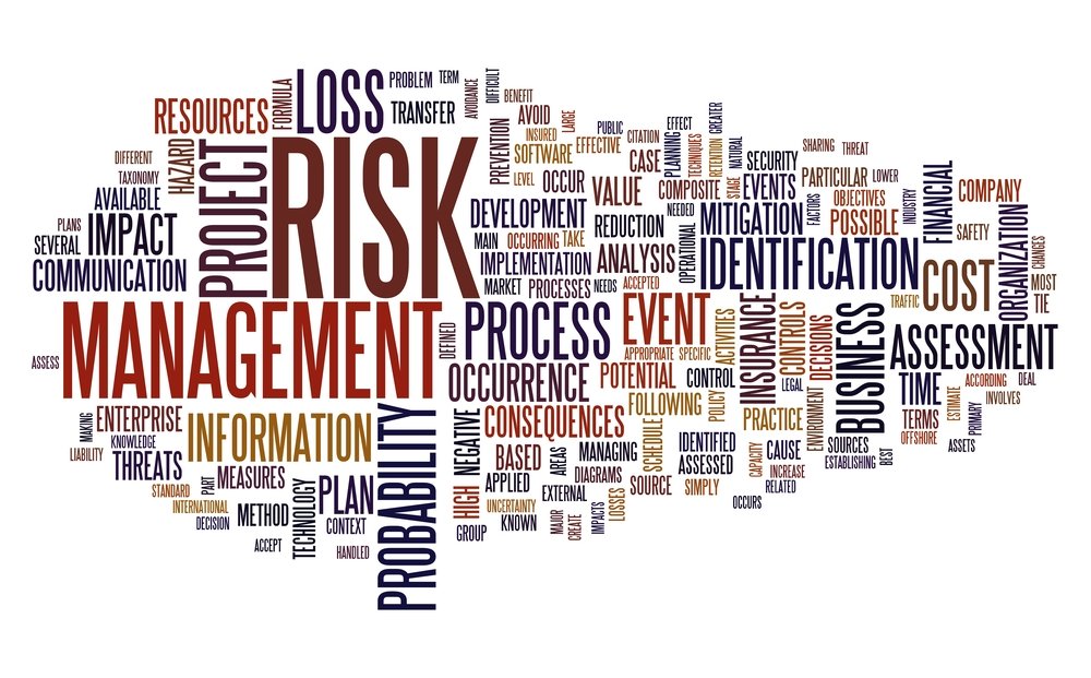 risk management words