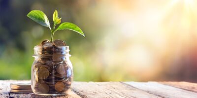 financial growth - money sprouting a seed