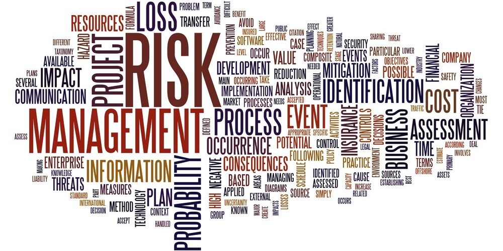 risk management words