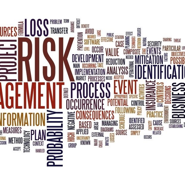 risk management words