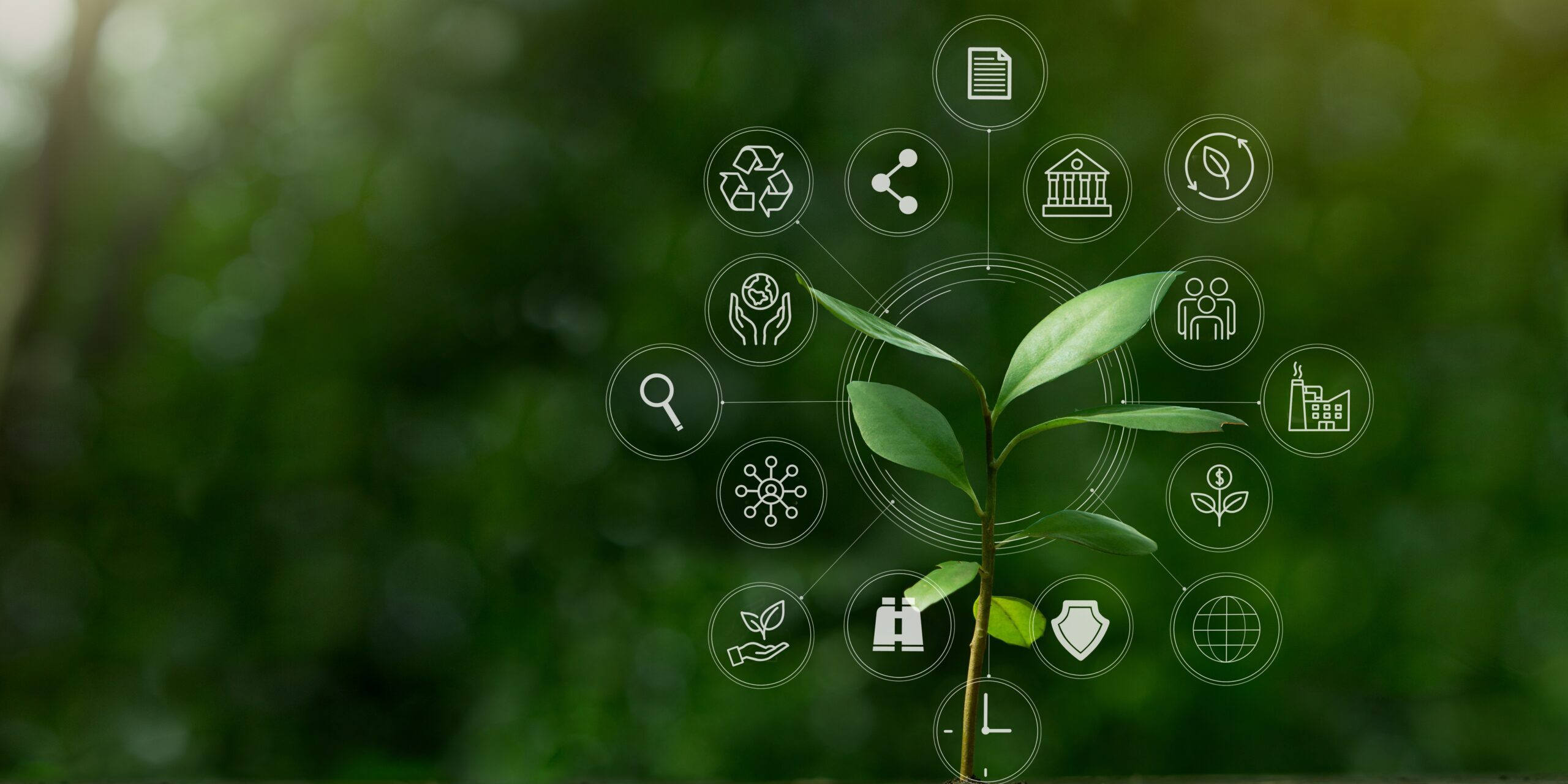 Esg,Icon,Concept,With,Small,Tree,For,Environmental,,Social,,And
